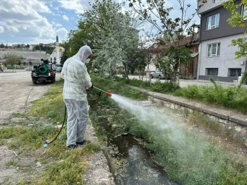 Bozüyük Belediyesi ilaçlama çalışmalarına hız verdi
