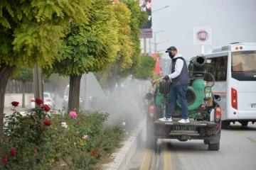 Bozüyük’te güller ilaçlanıyor
