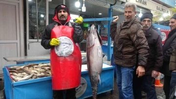 Bu balıkları görenler dönüp bir daha bakıyor, fotoğraf çekiyor
