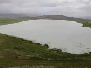 Bu yıl kurumayan Akgöl misafirlerini ağırlıyor
