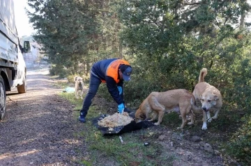 Buca’da atık yemekler can dostlarına gidiyor
