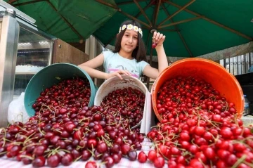 Buca’da Kiraz Festivali için hazırlıklar tamam
