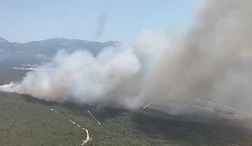 Buca’da orman yangını
