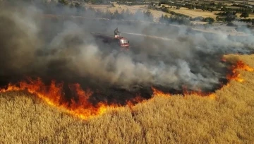 Bucak’ta aynı günde çıkan 6 farklı yangında 400 dekar alan yandı
