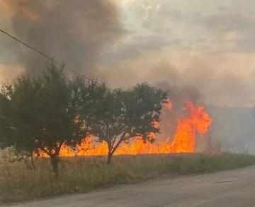 Buğday tarlasında çıkan yangın imece usulüyle zor söndürüldü
