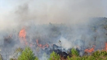 Burdur'da çıkan orman yangını kontrol altına alındı