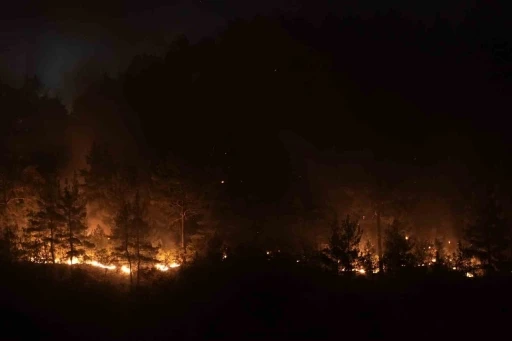 Bursa-Balıkesir il sınırındaki orman yangını