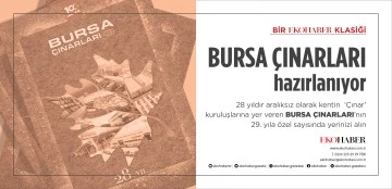 “Bursa Çınarları” hazırlanıyor