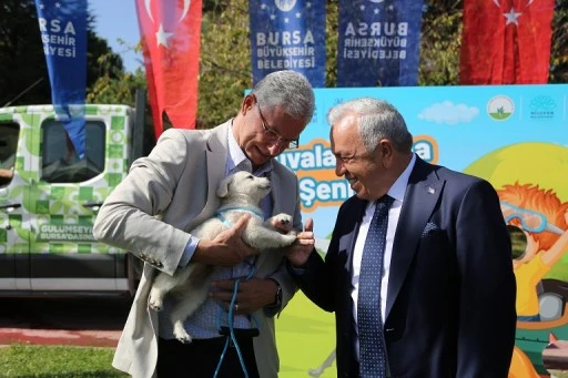 Bursa'da can dostlarımız yeni yuvalarına kavuşuyor