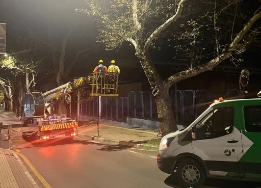 Bursa’da çınar ağaçlarına kış bakımı