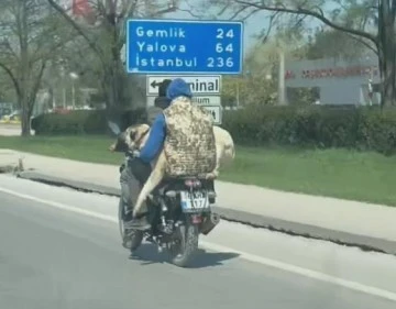 Bursa'da hem kendi canlarını hem köpeği tehlikeye attılar