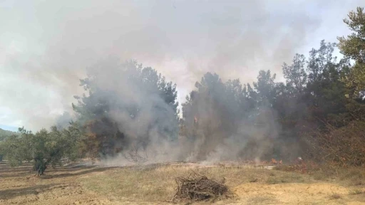 Bursa’da korkutan orman yangını