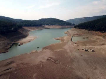 Bursa'da kuruyan sulama barajında, koyun ve keçiler otluyor