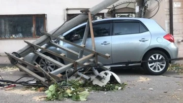 Bursa'da lodos ağaç ve elektrik direğini devirdi