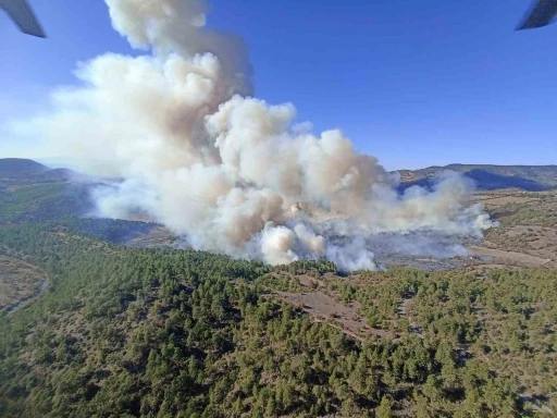 Bursa’da orman yangını