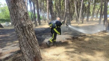 Bursa'da sigara izmariti çamlık alanı yok edecekti! 