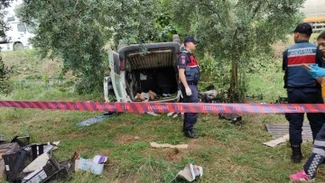 Bursa'da topladığı erikleri satmaya götürürken hayatını kaybetti