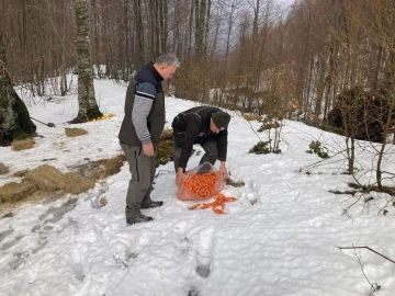 Bursa’da yaban hayvanlarına yem desteği