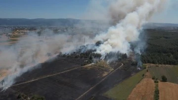 Bursa'daki yangına 2 uçak ve 4 helikopter daha dahil olacak