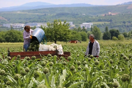 Bursa Nilüfer’de tarım ve kooperatifçilik için yeni bir modele doğru