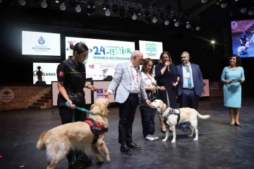 Büyükçekmece Belediyesi tarafından 31 kişinin hayatını kurtaran köpeklere madalya verildi
