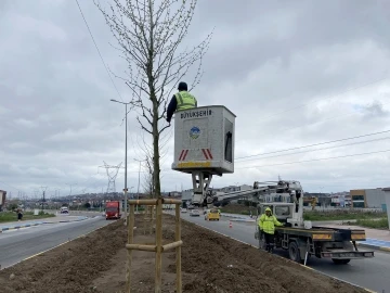 Büyükşehir ekipleri, şehir estetiğine katkı sunuyor
