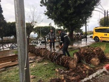 Büyükşehir fırtına için seferber oldu
