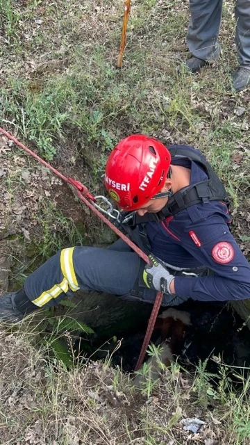 Büyükşehir İtfaiyesi, kuyuya düşen büyükbaş hayvanı 2 saatlik çalışmayla kurtardı
