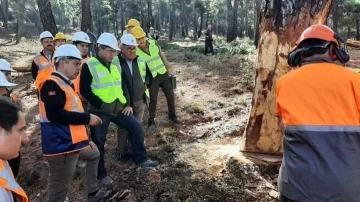 Çal Orman İşletme Müdürlüğünde işletme ve pazarlama tatbikatı yapıldı
