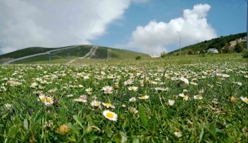 ‘Çamaşırları açık havada kurutmak polen alerjisini tetikliyor’
