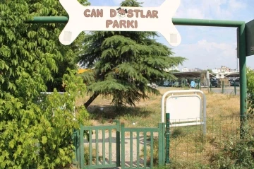 Can dostlar köpek parkı sahipsiz kaldı
