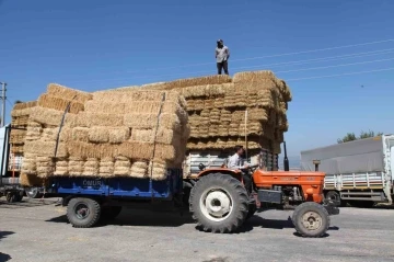 Çanakkale’de 142 çiftçinin etkilendiği orman yangınının yaraları sarılmaya başlandı
