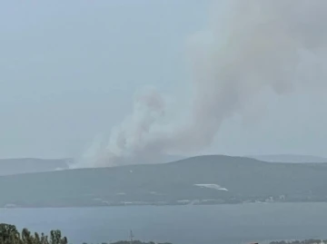 Çanakkale’de orman yangını
