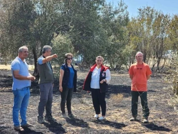 Çanakkale’de orman yangının ardından hasar tespit çalışmaları başladı