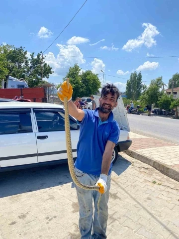 Çanakkale’de otomobilin motor kısmından engerek yılanı çıktı
