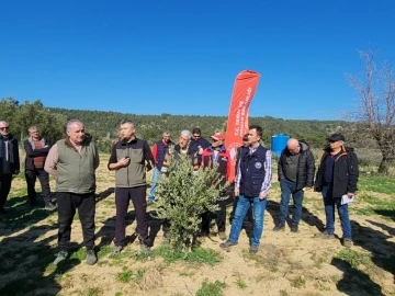 Çanakkale’de Zeytin Yetiştiricilerine eğitim verildi
