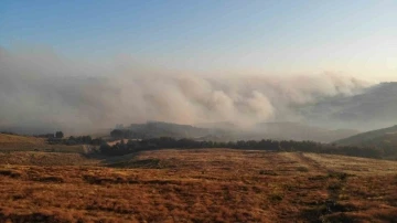 Çanakkale’deki orman yangını dron ile havadan görüntülendi
