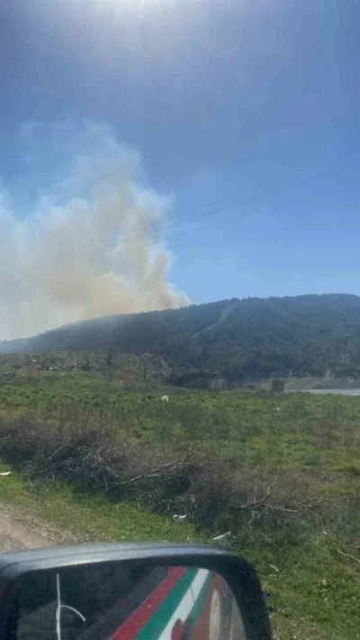 Çanakkale’deki orman yangınında 3 hektar alan zarar gördü
