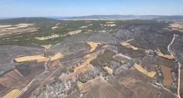 Çanakkale’nin ciğerleri yandı... Tam 952 futbol sahası büyüklüğünde
