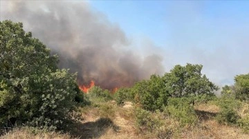 Çanakkale'de ağaçlık alanda çıkan yangın kontrol altına alındı