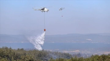 Çanakkale'deki orman yangınına havadan ve karadan müdahale sürüyor