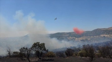 Çanakkale'nin Ayvacık ilçesinde orman yangını