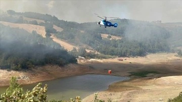 Çanakkale'nin Çan ilçesinde orman yangını çıktı