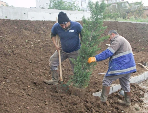 Canik’te 33 bin 668 ağaç kesilmekten kurtarıldı
