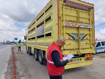 Canlı hayvan sevkiyatının hızlandığı bölgelerde denetim yapıldı
