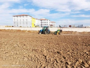 Çavdarhisar’da öğrenciler okula ait 100 dekar alana 2 ton buğday ekti
