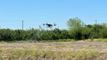 Çeltikler Düzce’de dron ile dikilecek
