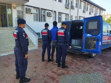 Çeşitli suçlardan aranan 192 şahsı jandarma yakaladı
