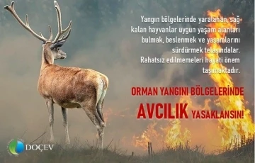 Çevrecilerden ’Yangın bölgelerinde avcılık yasaklansın’ talebi
