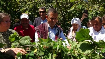 CHP Lideri Özel’den ’fındık fiyatı’ eleştirisi: “Hızla revize edilmeli&quot;
